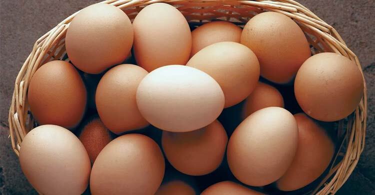 প্রতিদিন কয়টি ডিম খেতে পারেন