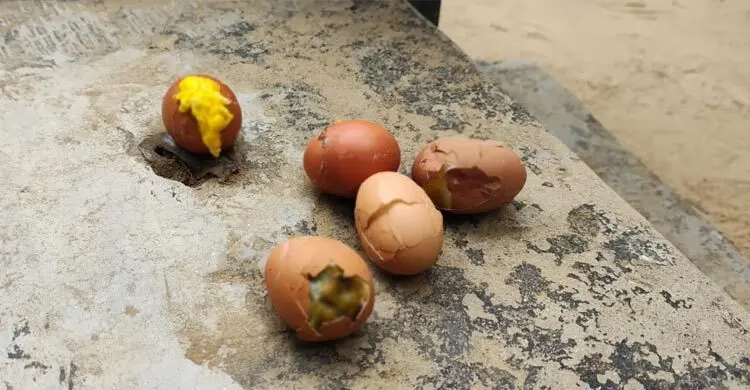 খাদ্য সরবরাহকারী প্রতিষ্ঠানকে জবাবদিহির আওতায় না এনে শিক্ষককে শোকজ