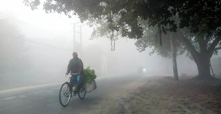 দিনাজপুরে শৈত্যপ্রবাহে নাকাল জনজীবন