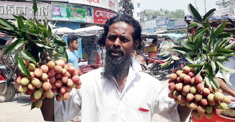 তাপদাহে ঝরে পড়ার শঙ্কায় দিনাজপুরের বাজারে অপরিপক্ব লিচু