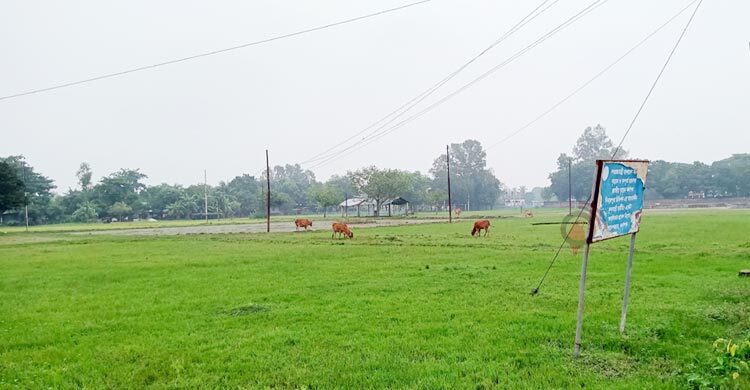 ৪৫ বছরেও শুরু হয়নি ফুলবাড়ী উপশহর প্রকল্পের কাজ