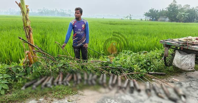 বাঁশের ফাঁদে ইঁদুর মেরে আসাদুজ্জামানের মাসিক আয় ৪০ হাজার টাকা