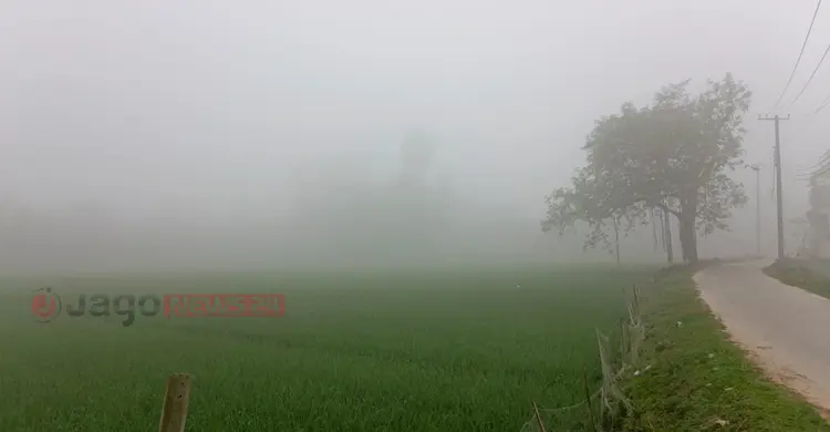 চৈত্রের সকালে কুয়াশার দেখা মিললো দিনাজপুরে