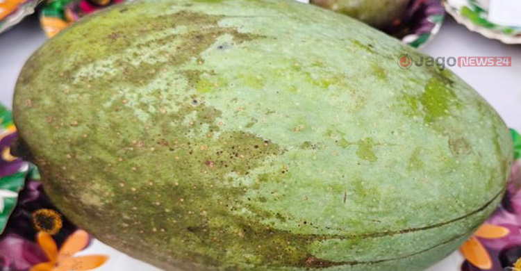 এক আমের ওজন চার কেজি, দেখতে মানুষের ভিড়
