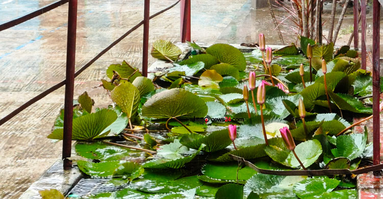 বিদ্যালয় ও ছাত্রীদের জীবন একসঙ্গে গড়ে চলেছেন শিক্ষক রতন কুমার