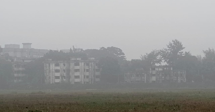 হিমেল হাওয়ায় শীতে কাঁপছে দিনাজপুর