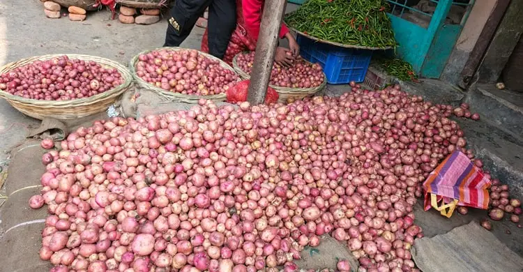 দিনাজপুরে কেজিতে ১০-২৫ টাকা বেড়েছে নতুন আলুর দাম