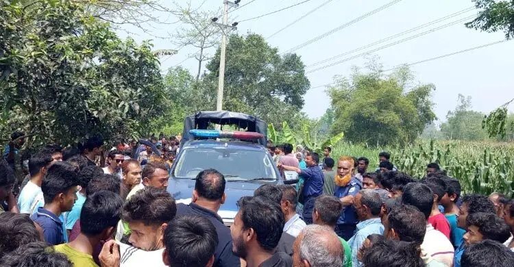 ঘোড়ার মাংস বিক্রির অভিযোগে তিনজনের কারাদণ্ড