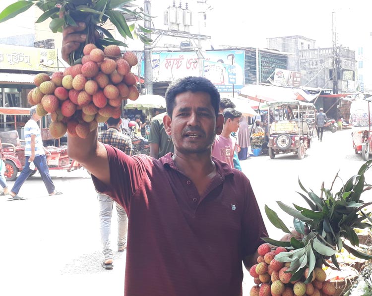 তাপদাহে ঝরে পড়ার শঙ্কায় দিনাজপুরের বাজারে অপরিপক্ব লিচু