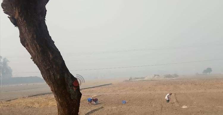 দেশের সর্বনিম্ন ১১.১ ডিগ্রি তাপমাত্রা দিনাজপুরে