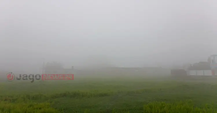 চৈত্রের সকালে কুয়াশার দেখা মিললো দিনাজপুরে