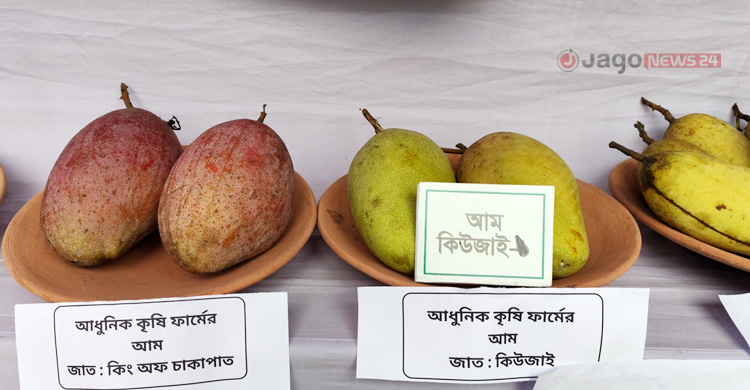 এক আমের ওজন চার কেজি, দেখতে মানুষের ভিড়