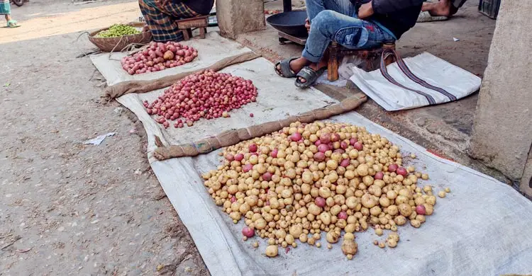দিনাজপুরে কেজিতে ১০-২৫ টাকা বেড়েছে নতুন আলুর দাম