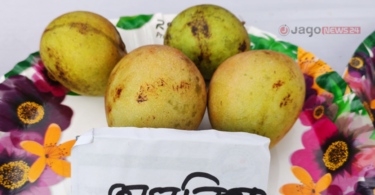এক আমের ওজন চার কেজি, দেখতে মানুষের ভিড়