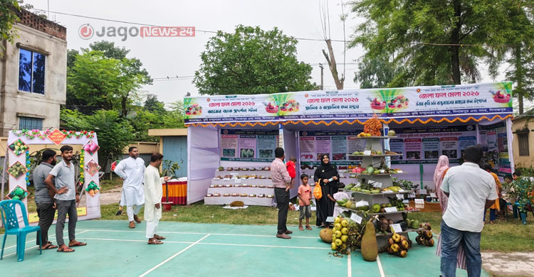 এক আমের ওজন চার কেজি, দেখতে মানুষের ভিড়