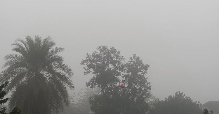 দিনাজপুরে হিমেল হাওয়ায় কনকনে শীত