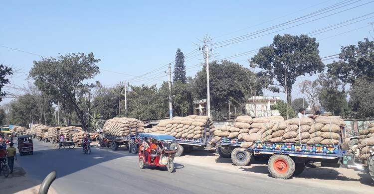 হিমাগারের সামনে আলুবোঝাই যানবাহনের দীর্ঘ সারি