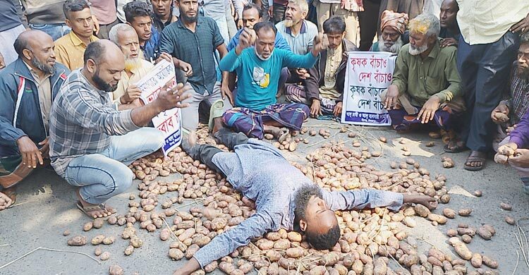 দিনাজপুরে সড়কে আলু ফেলে প্রতিবাদ, মানববন্ধন