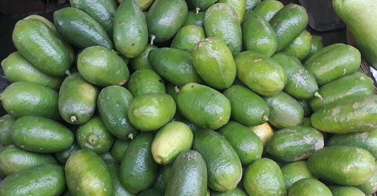 দিনাজপুরে এক কেজি শসার দামে মিলছে ৪ লেবু