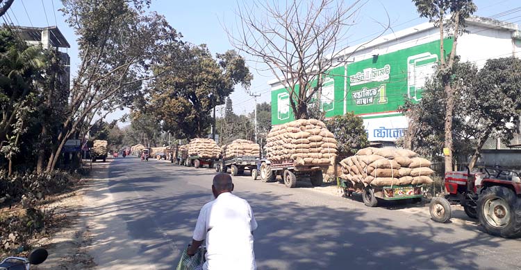 হিমাগারের সামনে আলুবোঝাই যানবাহনের দীর্ঘ সারি