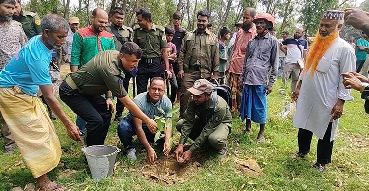 বন বিভাগের জমি দখল করে গরুর খামার, অভিযান চালিয়ে উদ্ধার