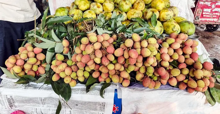 সময়ের আগেই দিনাজপুরের বাজারে লিচু, দাম চড়া