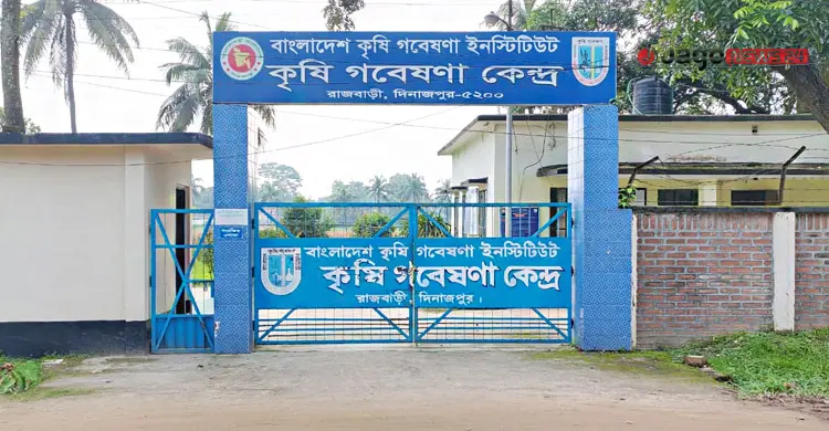 লিচু নিয়ে দেশে নেই কোনো গবেষণা কেন্দ্র