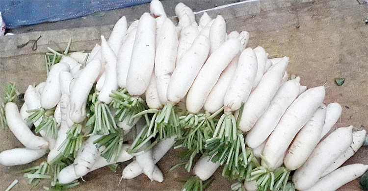 দিনাজপুরে মূলার কেজি পাঁচ টাকা