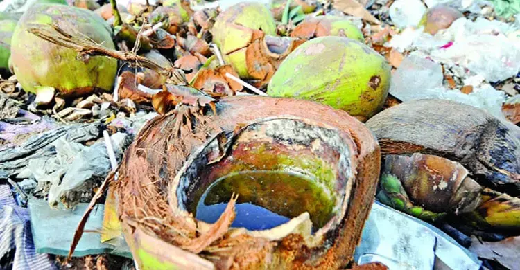 ডাবের খোসা-টায়ার কেনা বন্ধ, চালুর বিষয়ে নিরুত্তর ডিএনসিসি