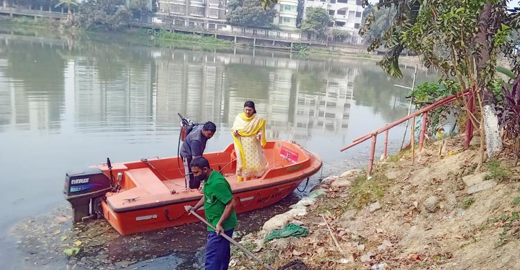 মশার উপদ্রব