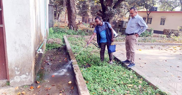 মশার উপদ্রব