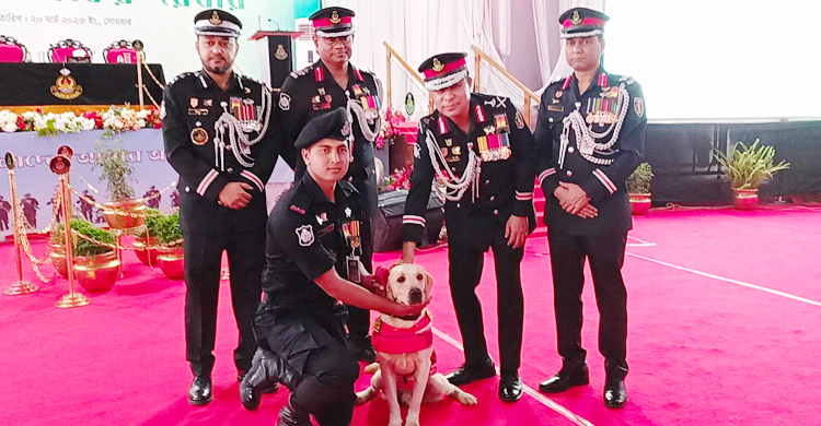 গুলিস্তানে ৩ মরদেহ উদ্ধারের জন্য পদক পেলো র‌্যাবের ‘চিতা’