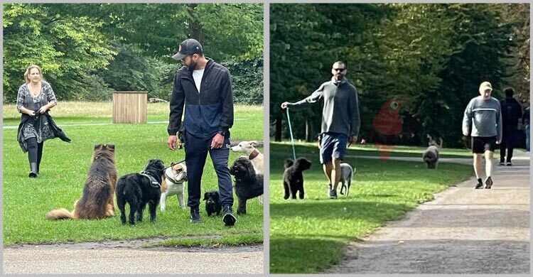 লন্ডনের হাইড পার্কে কুকুরের চোখে যেন নিখাদ সুখ