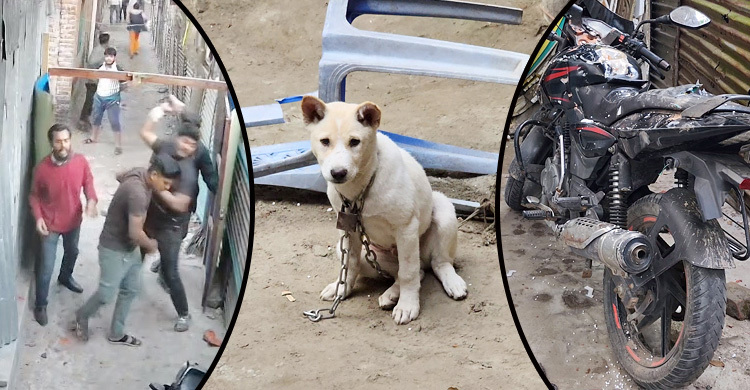 প্রতিবেশীর বাড়িতে কুকুরছানা যাওয়া নিয়ে বিতণ্ডা, পরে হামলা-ভাঙচুর