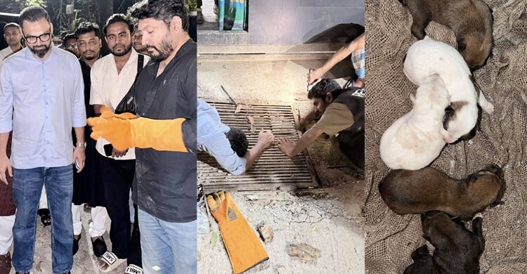 গভীর রাতে মন্ত্রীর কুকুরছানা উদ্ধার অভিযান