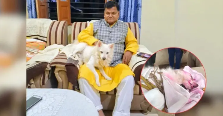 মালিকের মৃত্যু ‘মানতে’ পারলো না পোষা কুকুর, হৃদয়স্পর্শী ঘটনায় আলোড়ন