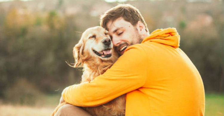 Dogs can sniff Covid-19 infections faster, more accurately