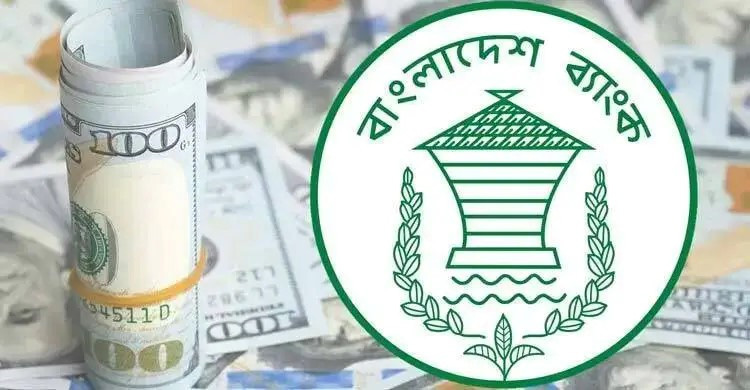 ১০ ব্যাংক থেকে ১০ কোটি ৭০ লাখ ডলার কিনলো বাংলাদেশ ব্যাংক