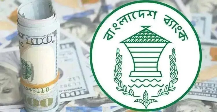 দুই ব্যাংক থেকে ২৫ মিলিয়ন ডলার কিনলো কেন্দ্রীয় ব্যাংক