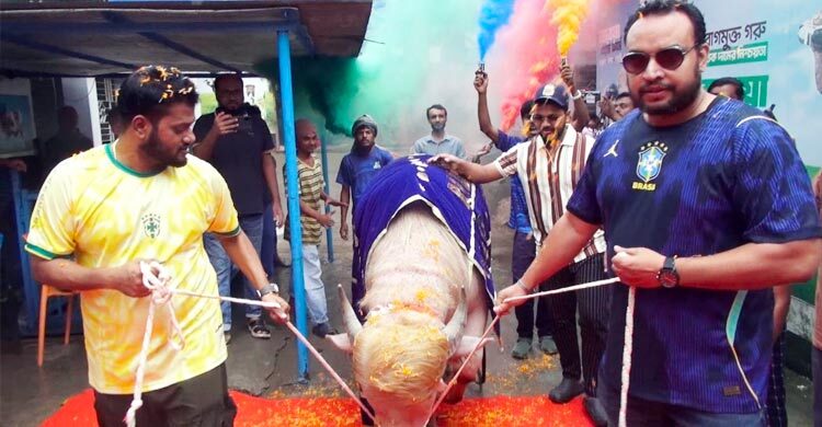 ‘ডোনাল্ড ট্রাম্পে’র পরিচর্যার জন্য মিরপুর চিড়িয়াখানায় বিশেষ ব্যবস্থা