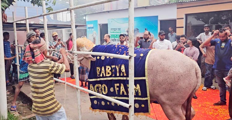 খামার থেকে ‘ডোনাল্ড ট্রাম্প’-কে রাজসিক বিদায়