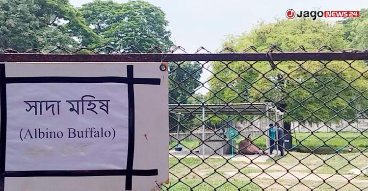 গরমে কাহিল ‘ডোনাল্ড ট্রাম্প’, বসানো হলো দুটি ফ্যান