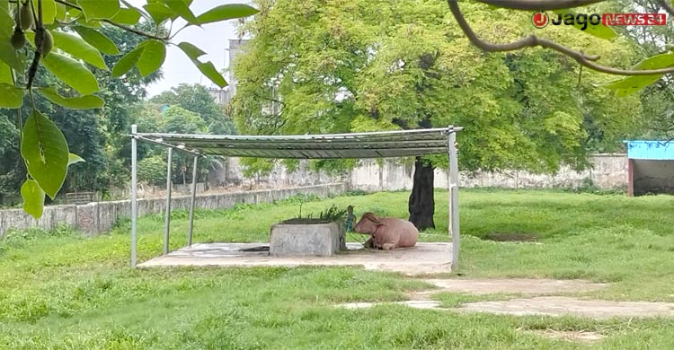 চিড়িয়াখানায় ‘প্রাণ’ ফিরিয়েছে ‘ডোনাল্ড ট্রাম্প’