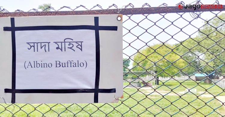 চিড়িয়াখানায় ‘প্রাণ’ ফিরিয়েছে ‘ডোনাল্ড ট্রাম্প’