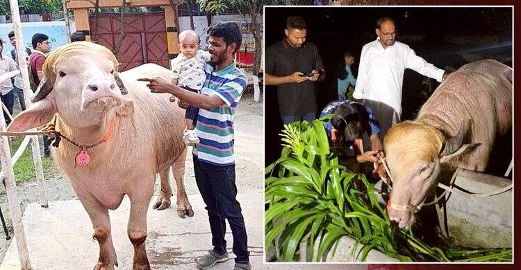 ‘ডোনাল্ড ট্রাম্পে’র পরিচর্যার জন্য মিরপুর চিড়িয়াখানায় বিশেষ ব্যবস্থা
