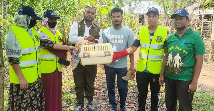 আহত অবস্থায় বিপন্ন লজ্জাবতী বানর উদ্ধার, চলছে চিকিৎসা