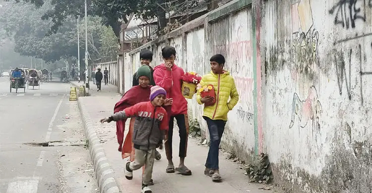 হাড় কাঁপানো শীত, তবু থেমে নেই জীবন