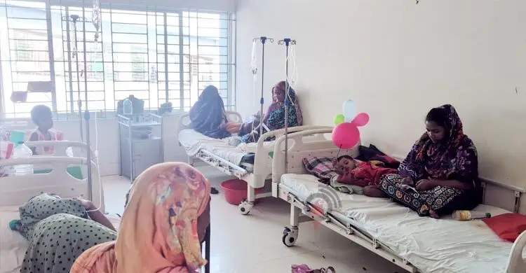 ভৈরবে বেড়েছে ডেঙ্গুর প্রকোপ, একই পরিবারে আক্রান্ত ৬
