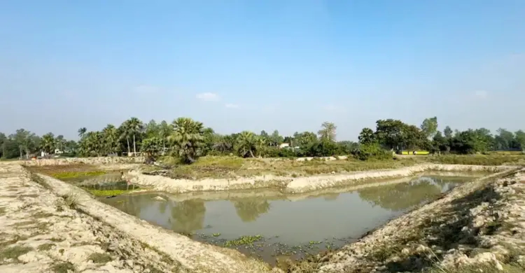 সরকারি রাস্তা কেটে পুকুর খননের অভিযোগ, দুর্ভোগে ৭ গ্রামের মানুষ