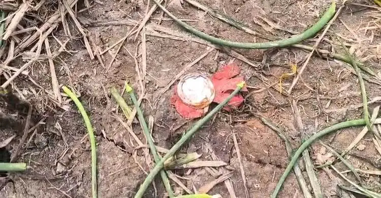 শরীয়তপুরে আধিপত্য বিস্তার নিয়ে সংঘর্ষ, শতাধিক ককটেল বিস্ফোরণ